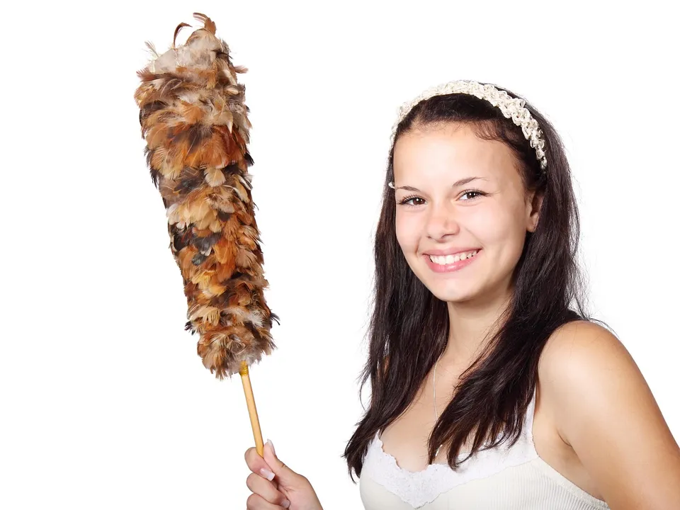 brush, cleaner, cleaning, cute, duster, feather, female, girl, housekeeper, isolated, maid, people, smiling, woman, work, young, cleaner, cleaner, cleaner, duster, duster, housekeeper, housekeeper, maid, maid, maid, maid, maid