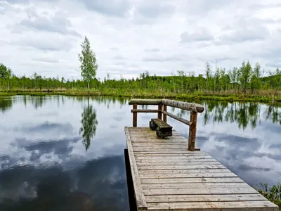 A serene scene featuring a wooden dock extending over a calm lake surrounded by trees and under a cloudy sky.