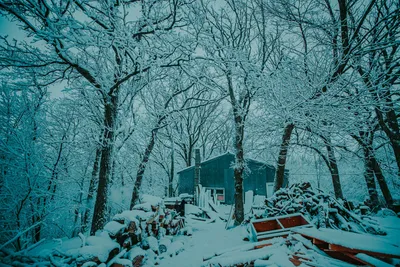 Captivating winter landscape featuring a cabin surrounded by snow-covered trees in Elbow Lake, Minnesota.