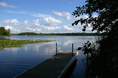 sky, clouds, dock, water, lake, minnesota, midwest, blue sky clouds, summer, sky clouds, nature, clouds sky, cloudscape, sunlight, fluffy, landscape, scenic, boat dock, lily pads, minnesota, minnesota, minnesota, minnesota, minnesota, midwest
