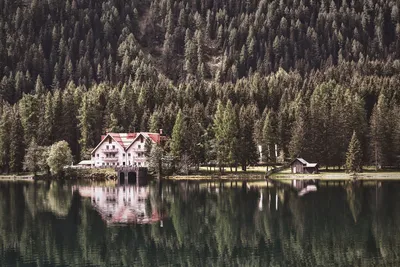 Tranquil lakeside scene with a cozy cabin surrounded by lush forest reflections.